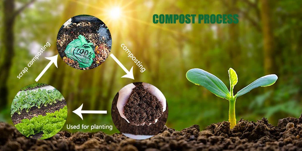 product-800-400 product-800-400